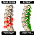 AxioRelief Pro